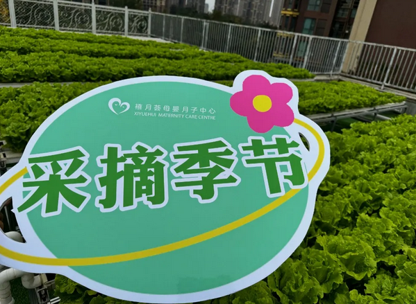 成都月子中心農(nóng)(nóng)場(chǎng)主|共享菜地，開(kāi)啟有機(jī)(jī)坐月子生活